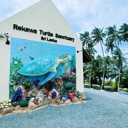 Shine Wave Turtle Beach Tangalle Ngoại thất bức ảnh