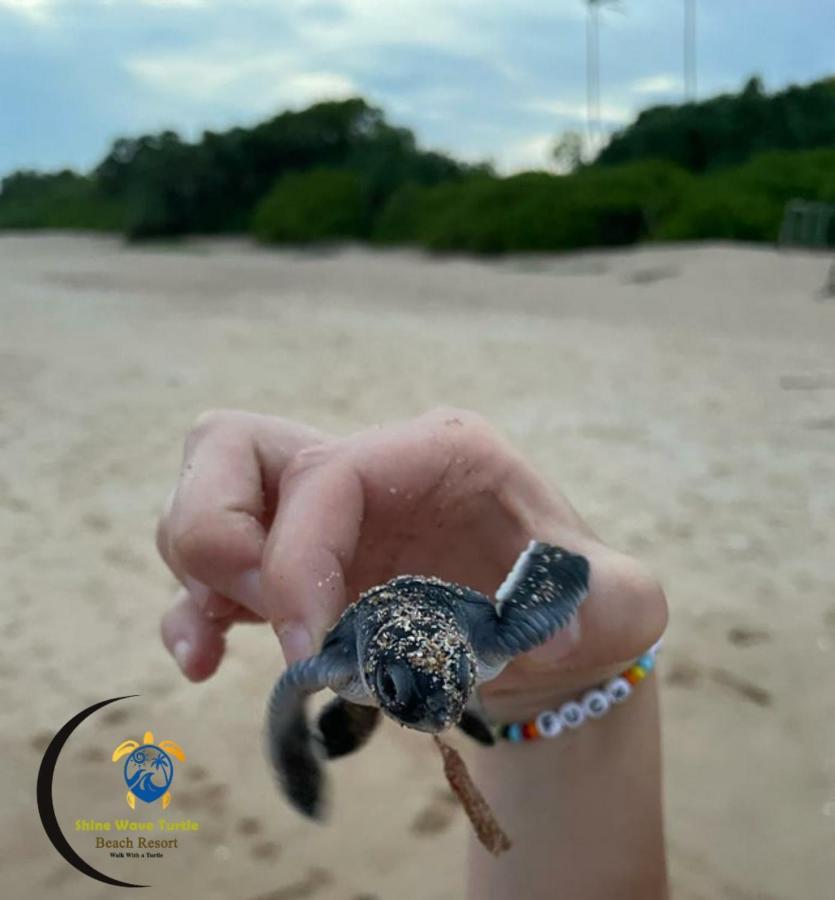 Shine Wave Turtle Beach Tangalle Ngoại thất bức ảnh