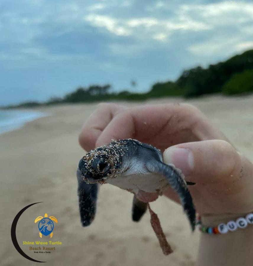 Shine Wave Turtle Beach Tangalle Ngoại thất bức ảnh