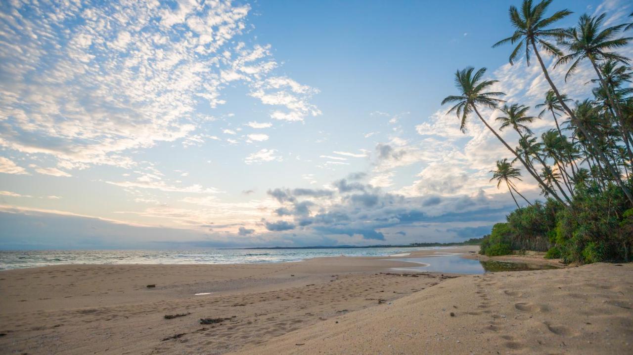 Shine Wave Turtle Beach Tangalle Ngoại thất bức ảnh