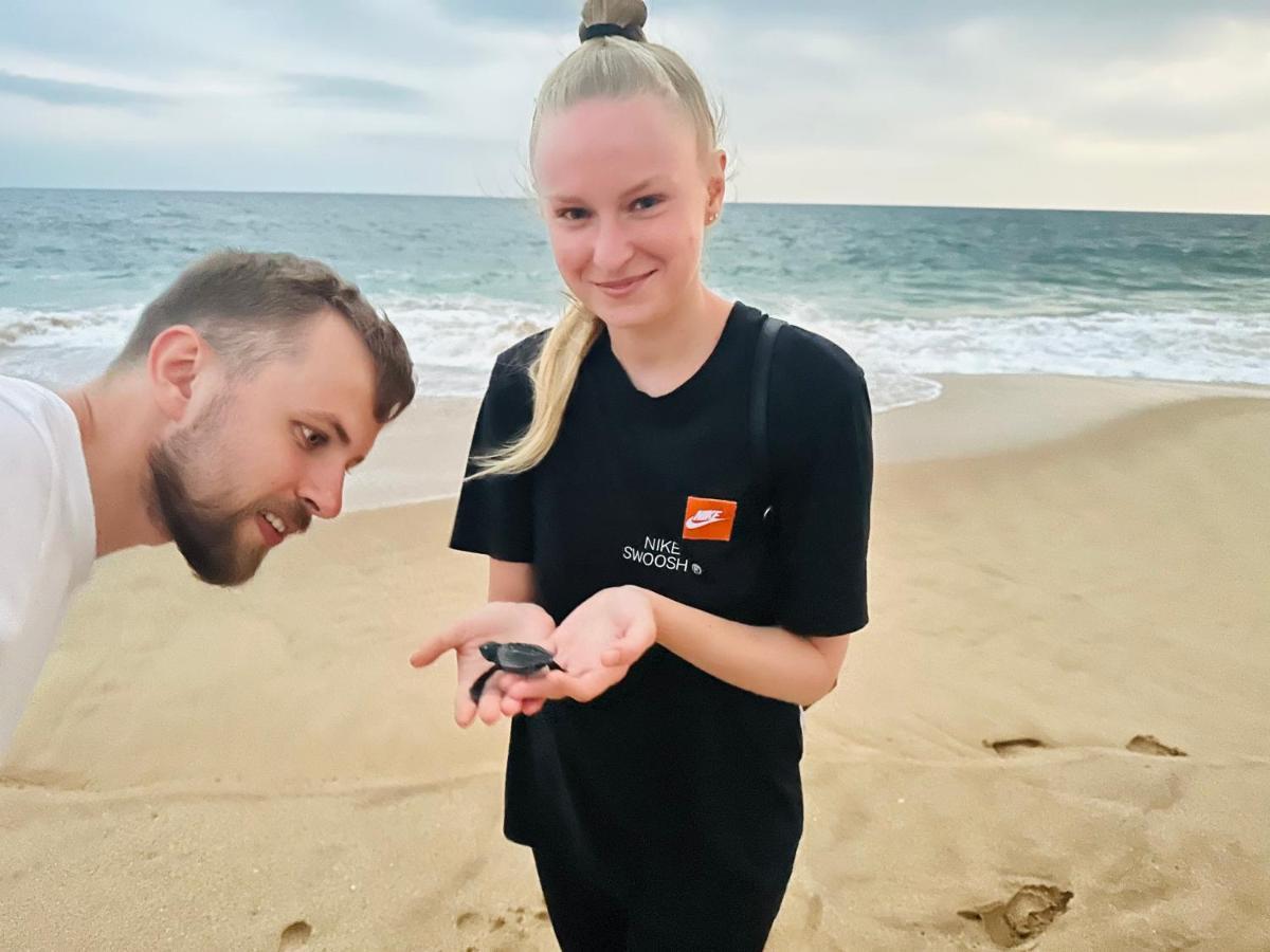 Shine Wave Turtle Beach Tangalle Ngoại thất bức ảnh