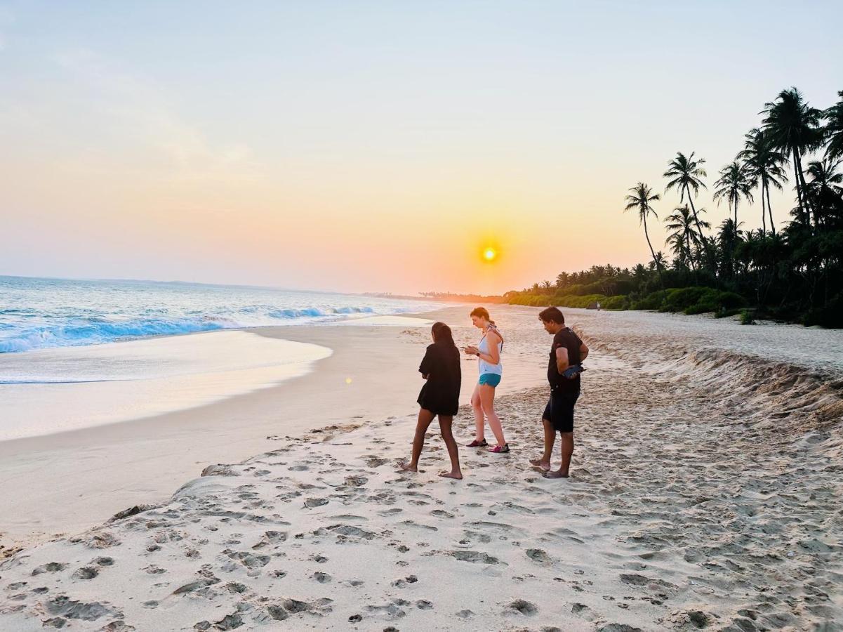 Shine Wave Turtle Beach Tangalle Ngoại thất bức ảnh