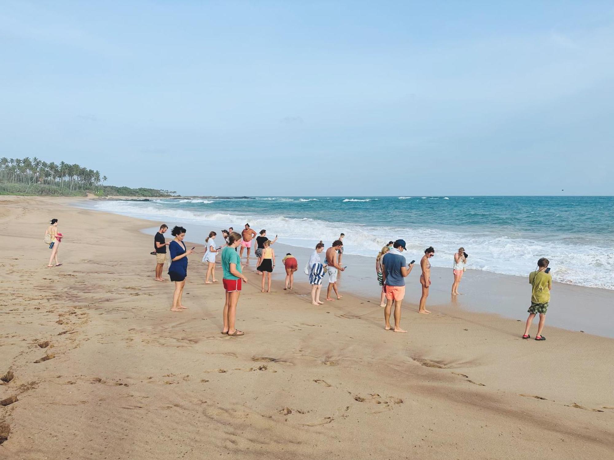 Shine Wave Turtle Beach Tangalle Ngoại thất bức ảnh
