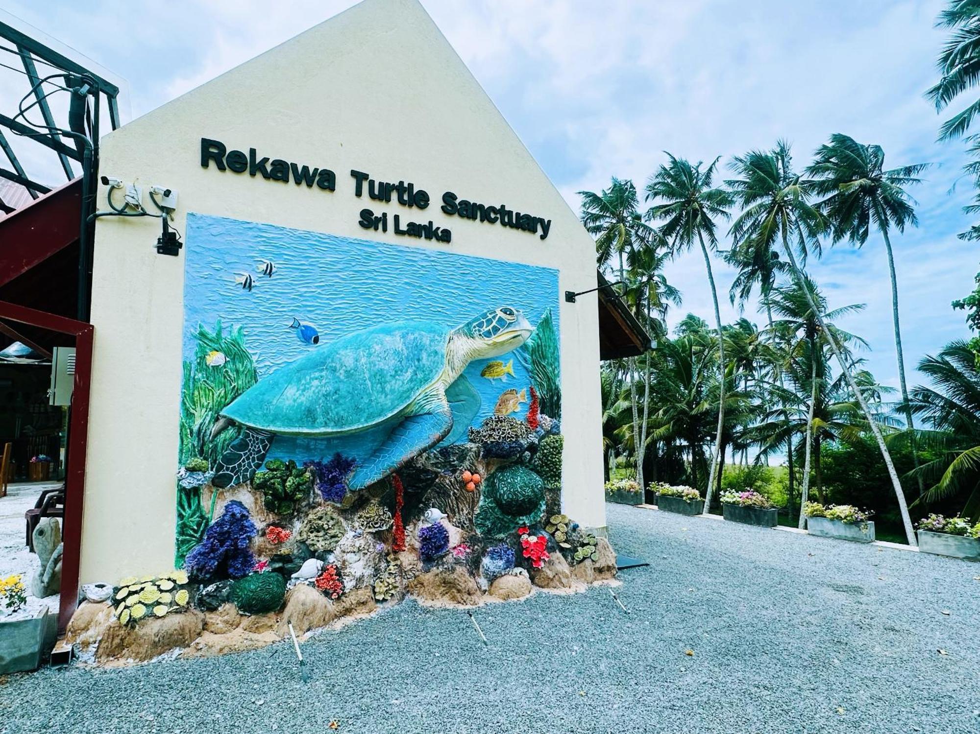Shine Wave Turtle Beach Tangalle Ngoại thất bức ảnh